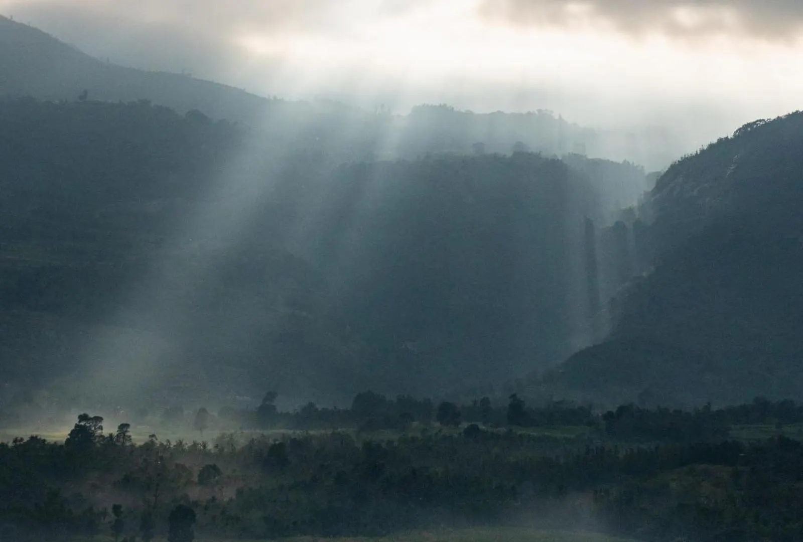The Mudhouse Marayoor Hotel Munnar